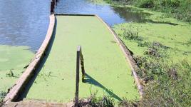 Greenwood Pond: Double Site, Des Moines, IA 