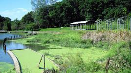 Greenwood Pond: Double Site, Des Moines, IA 
