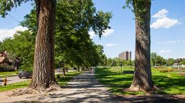 Downing Street Parkway, Denver, CO 