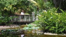 McKee Botanic Gardens, Vero Beach, FL