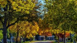 Fairmount Cemetery, Denver, CO 