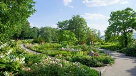 Fort Tryon Park, NY, NY