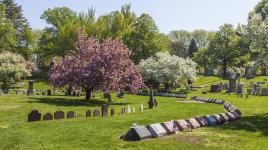 Green-Wood Cemetery, Brooklyn, NY