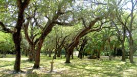 Greynolds Park, North Miami Beach, FL