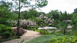 Hermann Park Japanese Garden, Houston, TX 