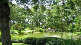 Hermann Park Japanese Garden, Houston, TX 