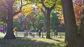 High Park, Toronto, ON