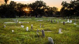 Holt Cemetery, New Orleans, LA