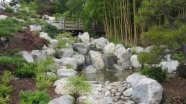 Waterfall at Huntington Library and Botanical Gardens, San Marino, CA