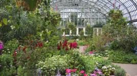 Garfield Park Conservatory, Chicago, IL