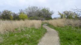 Jackson Park, Chicago, IL