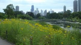 Lincoln Park Zoo, Chicago, IL