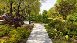 Midway Plaisance, Chicago, IL