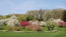 Morton Arboretum, Lisle, IL