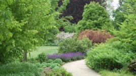 Morton Arboretum, Lisle, IL