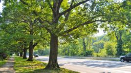 Fall Creek Parkway, Indianapolis, IN