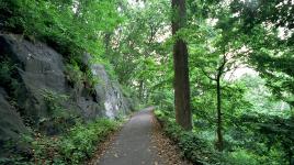 Inwood Hill Park, New York, NY