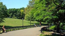 Inwood Hill Park, New York, NY