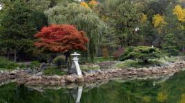 The Japanese Garden of Buffalo, Delaware Park, Buffalo, New York 