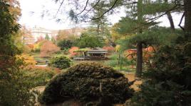 Japanese Hill-and-Pond Garden, Brooklyn, NY 