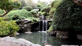 Japanese Hill-and-Pond Garden, Brooklyn, NY 