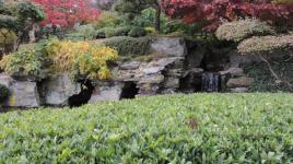 Japanese Hill-and-Pond Garden, Brooklyn, NY 