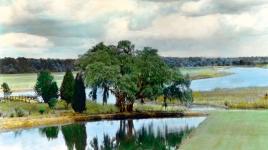 Butterfly Lake, Middleton Place, Charleston, SC, 1928. Landscaped from the 18th century.