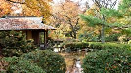 Kykuit Japanese Garden, Sleepy Hollow, NY