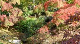 Kykuit Japanese Garden, Sleepy Hollow, NY