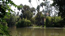 Los Angeles County Arboretum and Botanic Garden, Arcadia, CA 