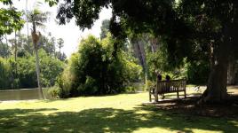 Los Angeles County Arboretum & Botanic Garden, Arcadia, CA