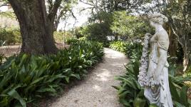 Shadows-on-the-Teche, New Iberia, LA