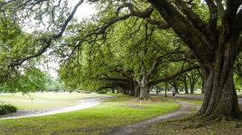 Audubon Park, New Orleans, LA