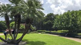 Jackson Square, New Orleans, LA