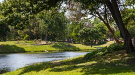 Lake Cliff Park, Dallas, TX