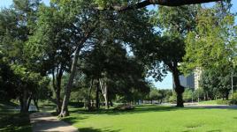 Robert E. Lee Park, Dallas, TX 