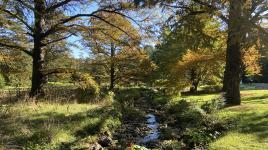 Arnold Arboretum, Boston, MA