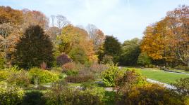 Arnold Arboretum, Boston, MA