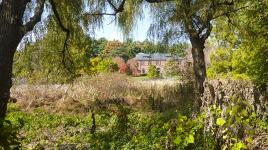 Arnold Arboretum