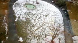 The Prouty Garden in a recent snowstorm with a plea from a patient’s family—“SAVE ME.”