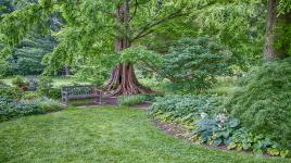 Cylburn Arboretum, Baltimore, MD