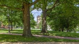 Homewood House Museum, Baltimore, MD