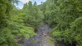 Gwynn's Falls - Leakin Park, Baltimore, MD