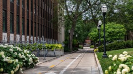 Scholars Walk - University of Minnesota, Minneapolis, MN