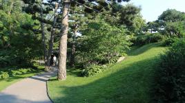 The Charlotte Partridge Ordway Japanese Garden, St. Paul, MN