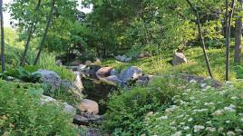 The Charlotte Partridge Ordway Japanese Garden, St. Paul, MN