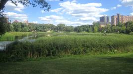 Loring Park, Minneapolis, MN