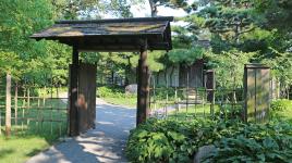 The Charlotte Partridge Ordway Japanese Garden, St. Paul, MN