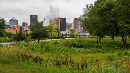 Harriet Island Regional Park, St. Paul, MN