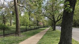 Lafayette Park, St. Louis, MO